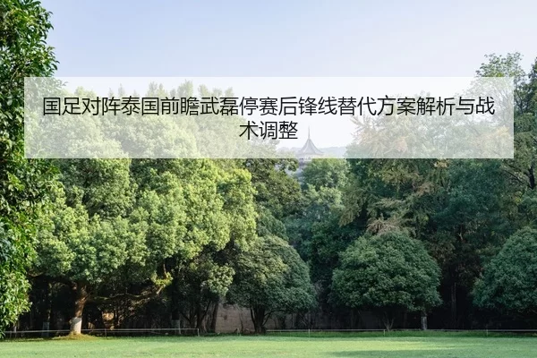 国足对阵泰国前瞻武磊停赛后锋线替代方案解析与战术调整