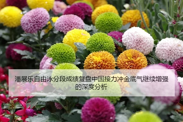 潘展乐自由泳分段成绩复盘中国接力冲金底气继续增强的深度分析