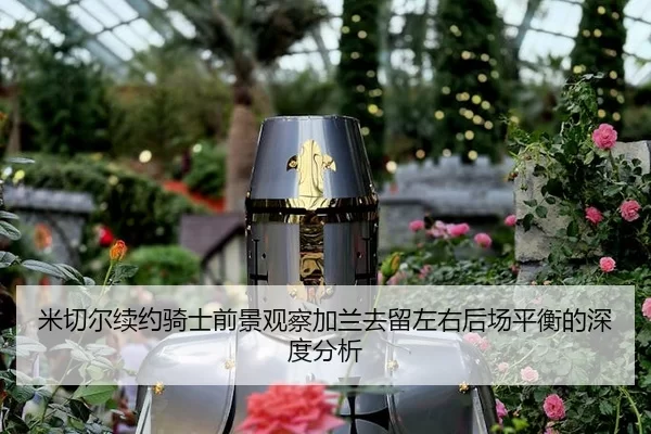 mi-qie-er-xu-yue-qi-shi-qian-jing-guan-cha-jia-lan-qu-liu-zuo-you-hou-chang-ping-heng-de-shen-du-fen-xi-2-843.jpg