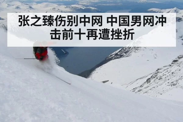 张之臻伤别中网 中国男网冲击前十再遭挫折 | leyu